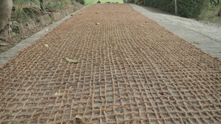 Fungsi Cocomesh dalam Stabilisasi Tanah dan Erosi