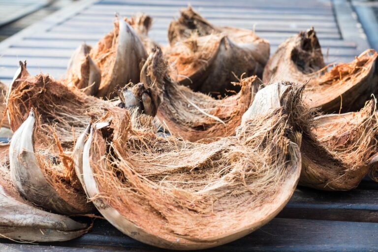 Cara Menanam dengan Sabut Kelapa
