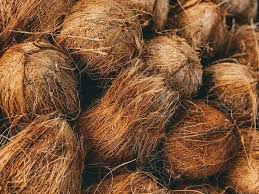 hasil olahan sabut kelapa