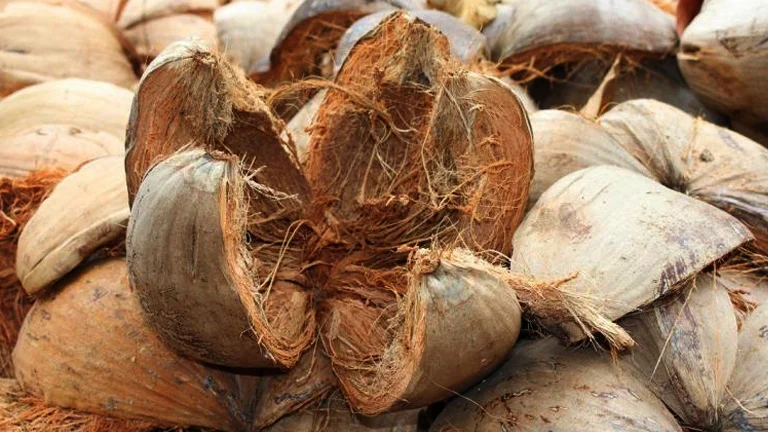 karaktersitik sabut kelapa