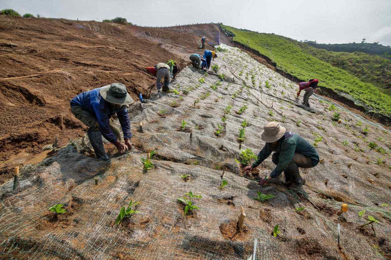 cocomesh dalam proyek penghijauan
