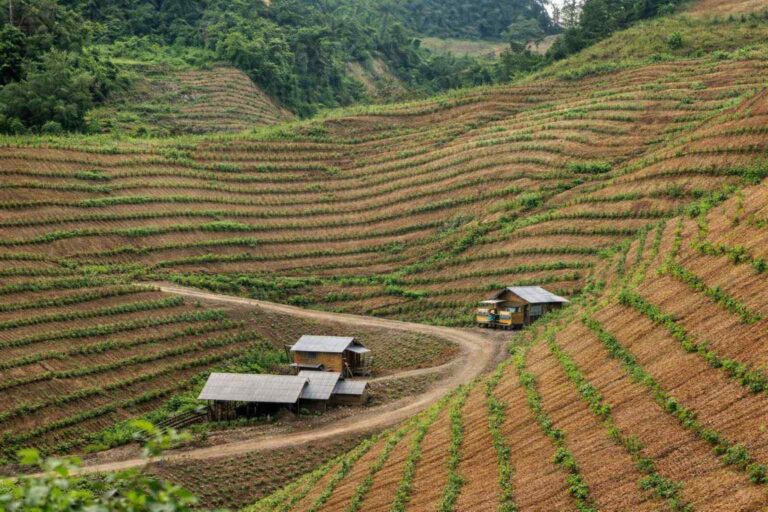 Pemanfaatan Lahan Bekas Tambang Batubara