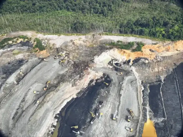 Pengelolaan topsoil lahan tambang