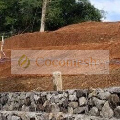 cocomesh-application-header-2-e1742970935817