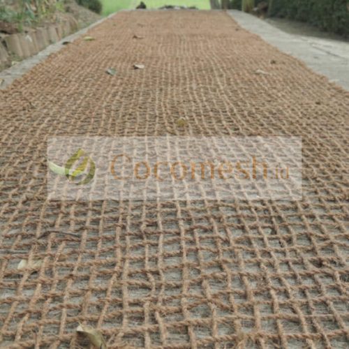 jual-cocomesh-3-1024x576